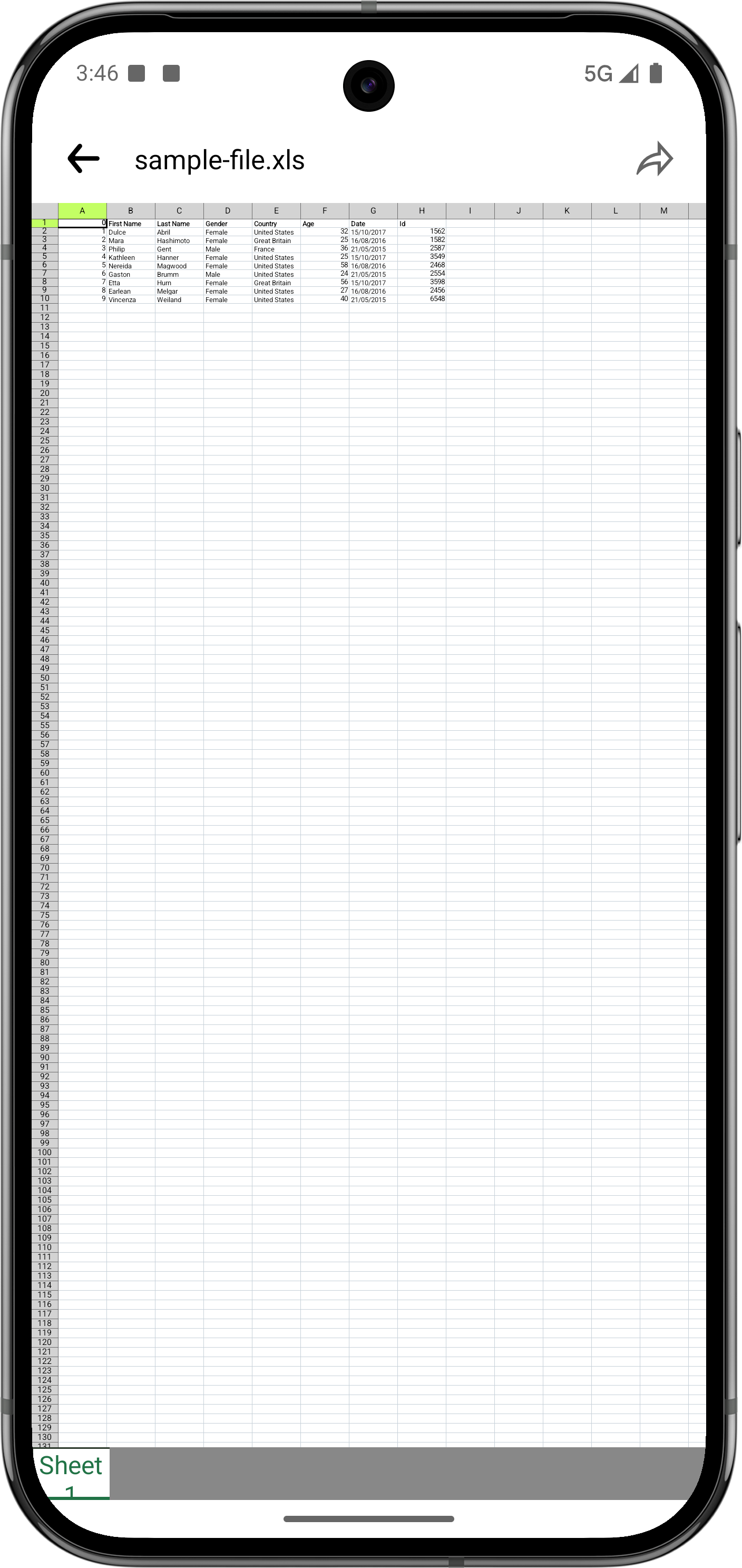 page_excel