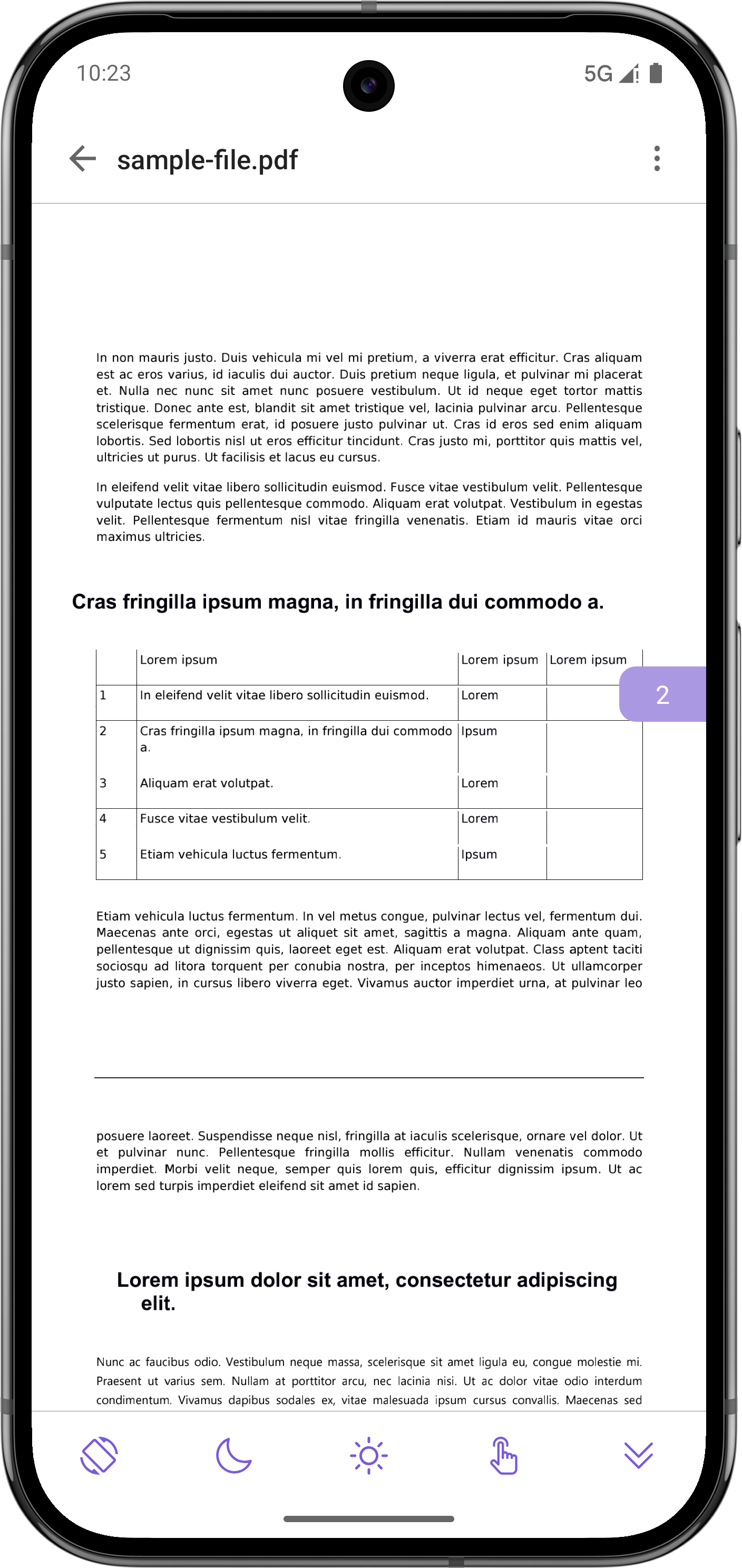 page_pdf